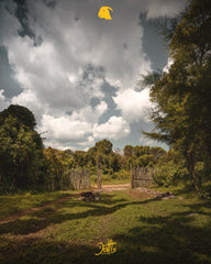 Specialty - Etiopia SCA 86